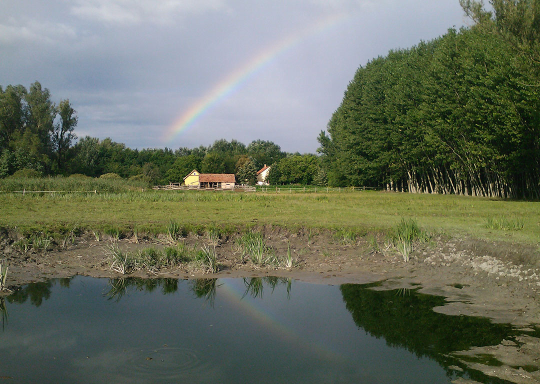 góbor-tanya